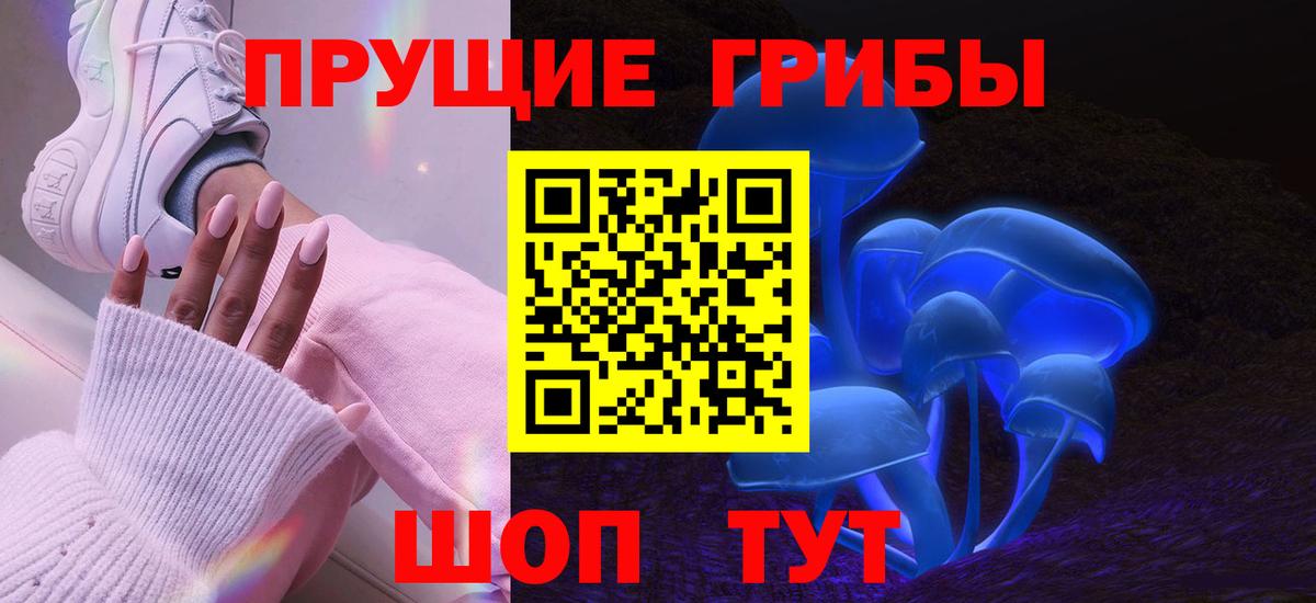 Мончегорск  Псилоцибиновые грибы Psilocybine cubensis  Вход с VPN 